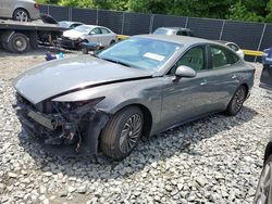 Salvage cars for sale at Waldorf, MD auction: 2022 Hyundai Sonata Hybrid