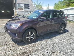 Salvage cars for sale from Copart Albany, NY: 2017 Toyota Rav4 XLE