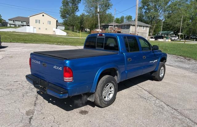 2001 Dodge Dakota Quattro