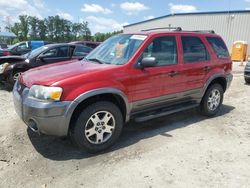 Salvage cars for sale at Spartanburg, SC auction: 2005 Ford Escape XLT