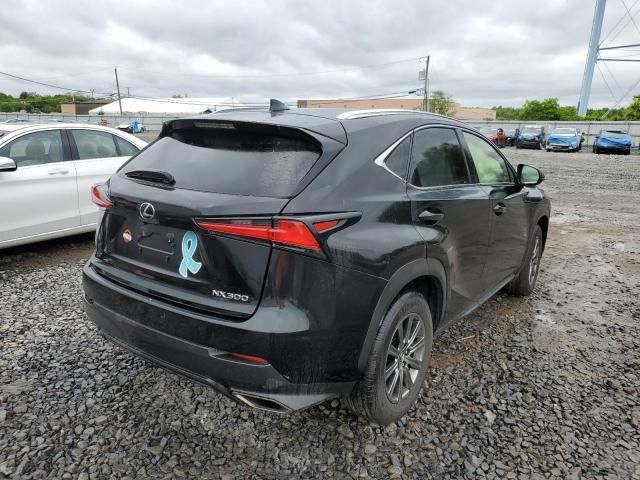 2019 Lexus NX 300 Base