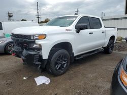 Salvage cars for sale at Chicago Heights, IL auction: 2019 Chevrolet Silverado K1500 Trail Boss Custom