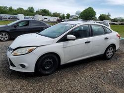 Ford Focus salvage cars for sale: 2014 Ford Focus S