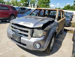 2008 Ford Escape XLT en venta en Bridgeton, MO