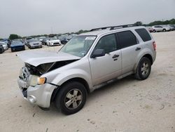 Salvage cars for sale at San Antonio, TX auction: 2010 Ford Escape XLT