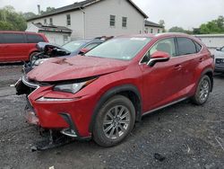 Salvage cars for sale at York Haven, PA auction: 2021 Lexus NX 300 Base