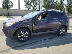 Salvage cars for sale at Rancho Cucamonga, CA auction: 2017 Toyota Rav4 XLE