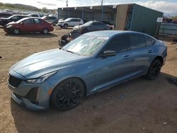 Salvage cars for sale at Colorado Springs, CO auction: 2023 Cadillac CT5-V