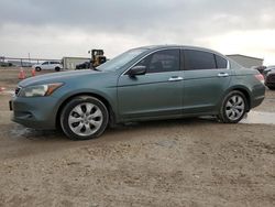 Salvage cars for sale at Temple, TX auction: 2008 Honda Accord EXL