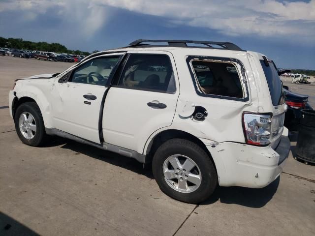 2009 Ford Escape XLT