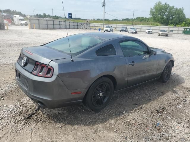 2014 Ford Mustang