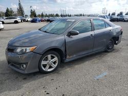 Toyota salvage cars for sale: 2013 Toyota Camry L