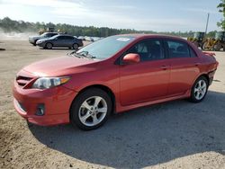 Salvage cars for sale at Harleyville, SC auction: 2011 Toyota Corolla Base