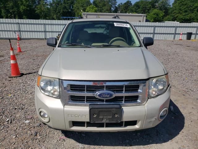 2008 Ford Escape XLT