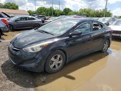 Salvage cars for sale at Columbus, OH auction: 2015 Hyundai Elantra SE