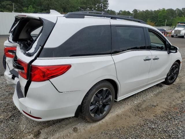 2024 Honda Odyssey Elite