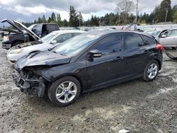 Salvage cars for sale at Graham, WA auction: 2014 Ford Focus SE