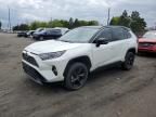 2021 Toyota Rav4 XSE