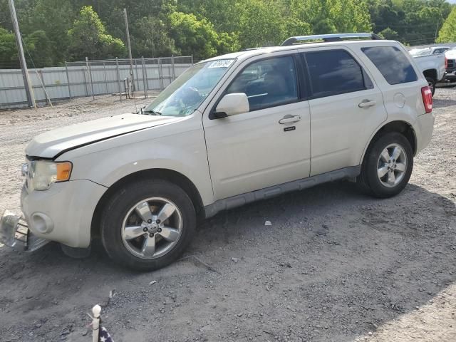 2009 Ford Escape Limited