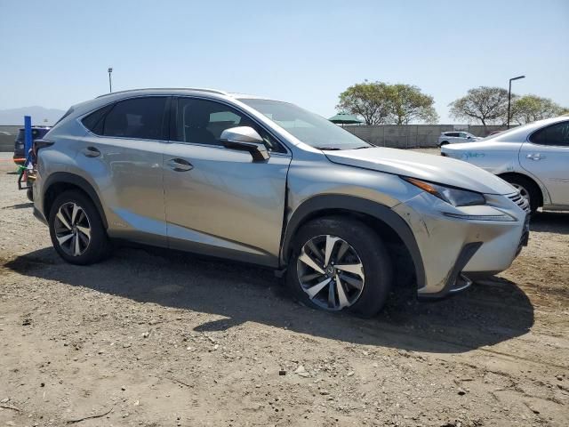 2019 Lexus NX 300H