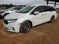 Honda salvage cars for sale: 2021 Honda Odyssey EX