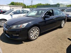 Salvage cars for sale from Copart New Britain, CT: 2013 Honda Accord EXL
