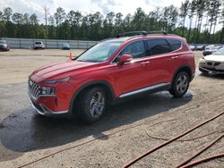 Salvage cars for sale at Harleyville, SC auction: 2023 Hyundai Santa FE SEL Premium