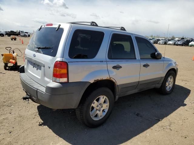 2007 Ford Escape XLT