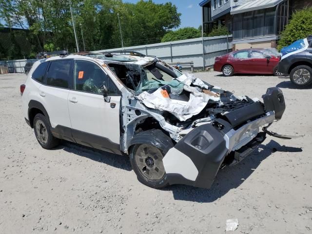 2024 Subaru Forester Wilderness