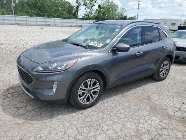 2021 Ford Escape SEL