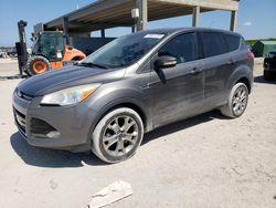 Salvage cars for sale at West Palm Beach, FL auction: 2013 Ford Escape SEL
