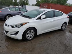 Salvage cars for sale at Baltimore, MD auction: 2016 Hyundai Elantra SE