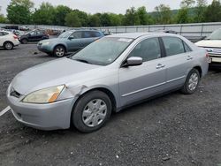 Salvage cars for sale at Grantville, PA auction: 2003 Honda Accord LX