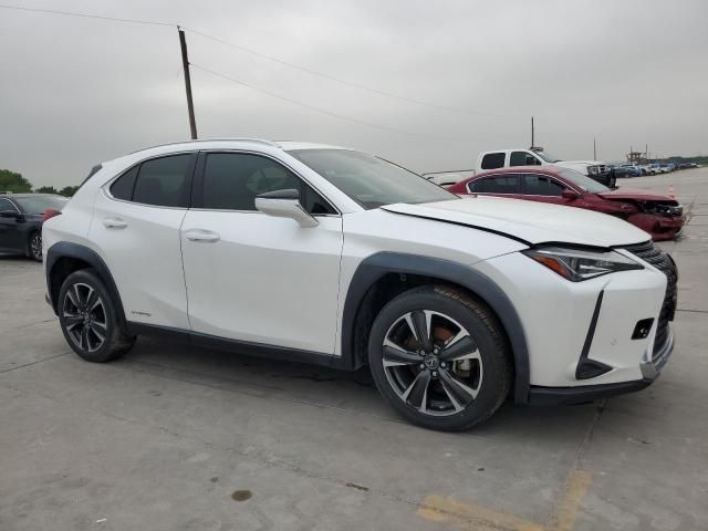 2019 Lexus UX 250H