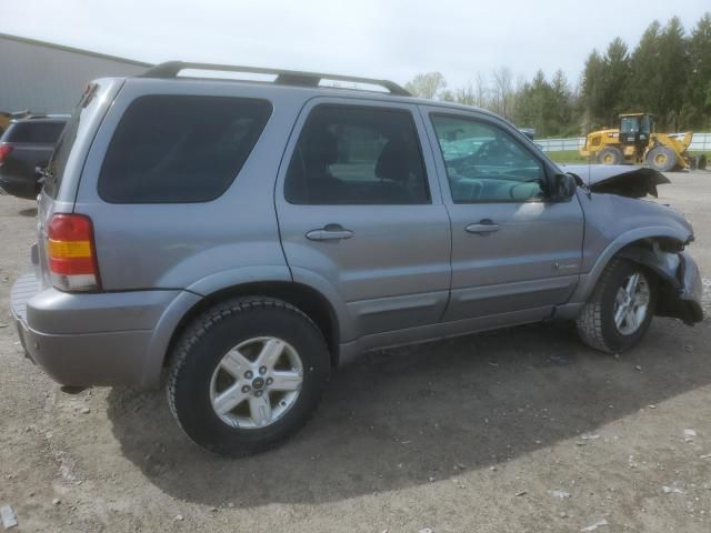 2007 Ford Escape HEV