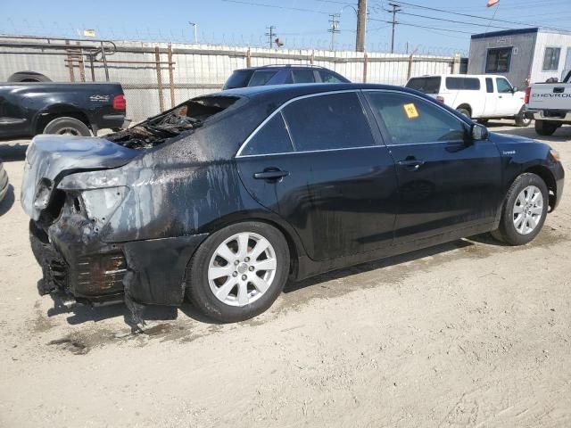 2009 Toyota Camry Hybrid