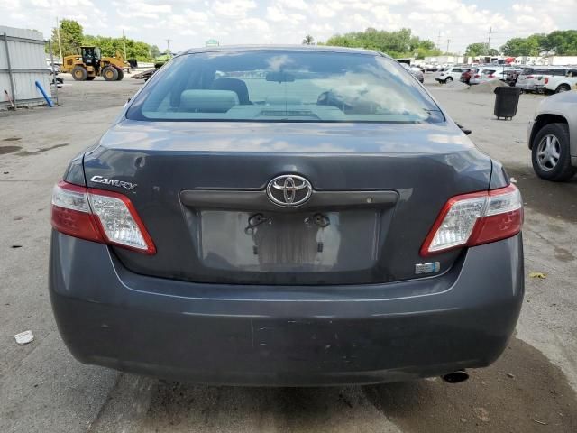 2009 Toyota Camry Hybrid