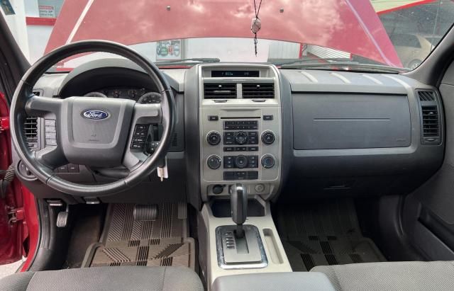 2009 Ford Escape XLT