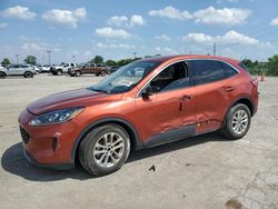 Salvage cars for sale at Indianapolis, IN auction: 2020 Ford Escape SE