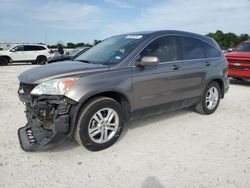 Salvage cars for sale at New Braunfels, TX auction: 2010 Honda CR-V EXL