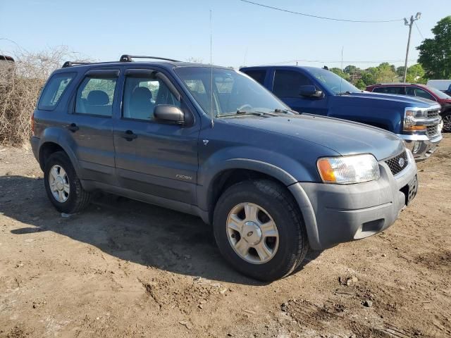 2001 Ford Escape XLT