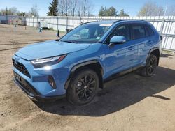 Salvage cars for sale at Bowmanville, ON auction: 2023 Toyota Rav4 SE