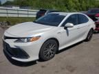 2021 Toyota Camry XLE