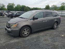 Honda salvage cars for sale: 2012 Honda Odyssey EXL