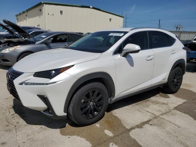 2020 Lexus NX 300H