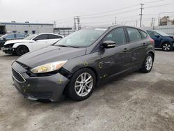 Salvage cars for sale from Copart Sun Valley, CA: 2015 Ford Focus SE