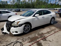 Salvage cars for sale at auction: 2010 Nissan Maxima S