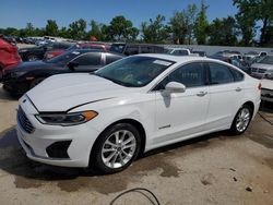 Salvage cars for sale at Bridgeton, MO auction: 2019 Ford Fusion SEL