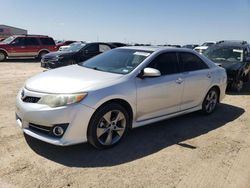 Salvage cars for sale at Amarillo, TX auction: 2013 Toyota Camry SE