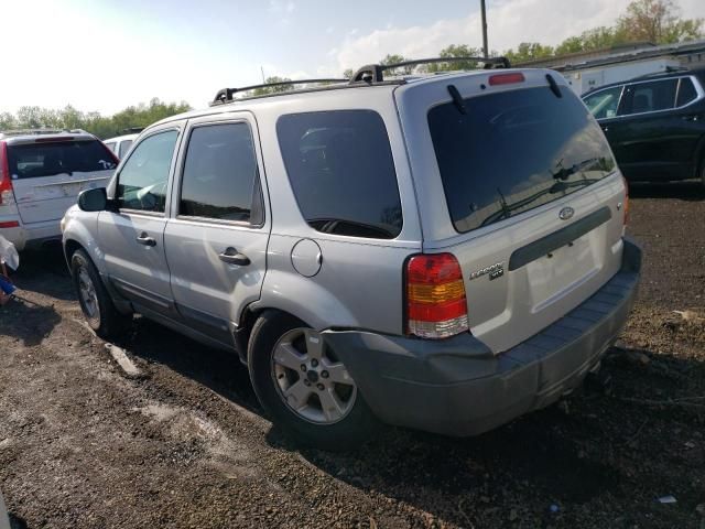 2007 Ford Escape XLT